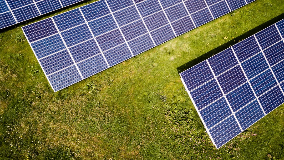 Monocrystalline Solar Cells: When Their Higher Efficiency Is Worth the Cost