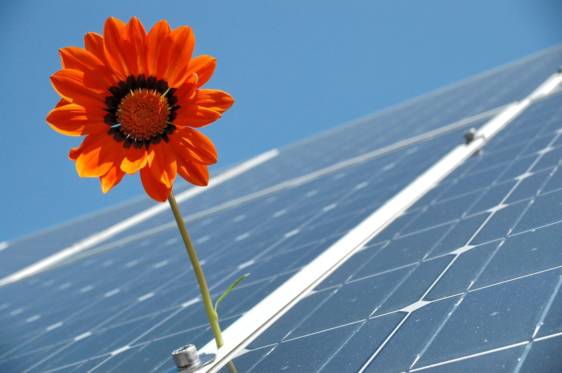 rooftop solar panels