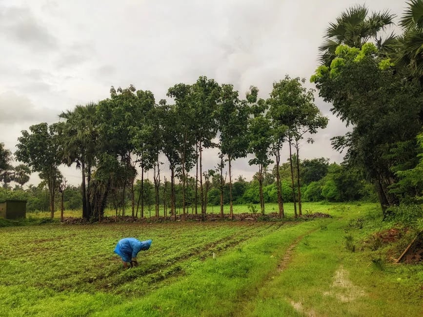 Image describing Top 7 REITs to Buy Now for Guaranteed Gains in 2025