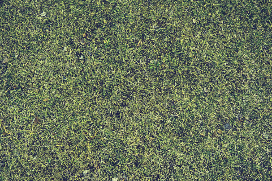 lawn care technician treating yard