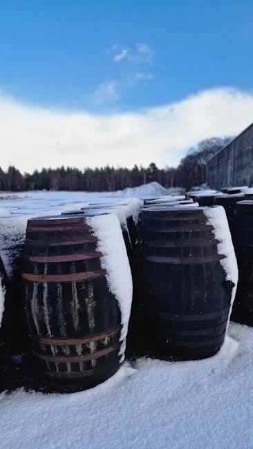 Image describing Top 5 Cold Storage Hacks to Protect Crypto in 2025!