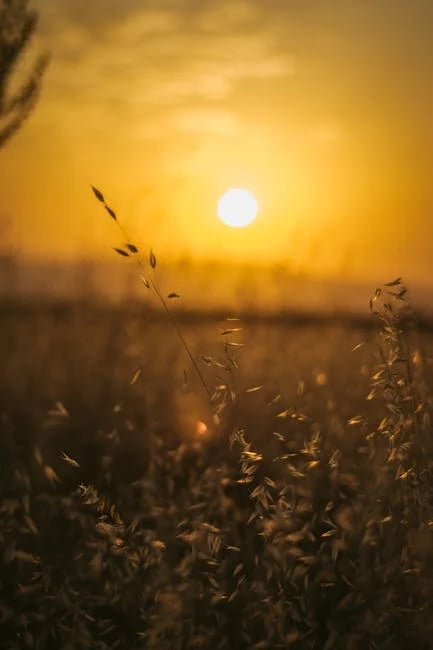 Image describing Unlock Top Underline Secrets Transform Text by 2025!