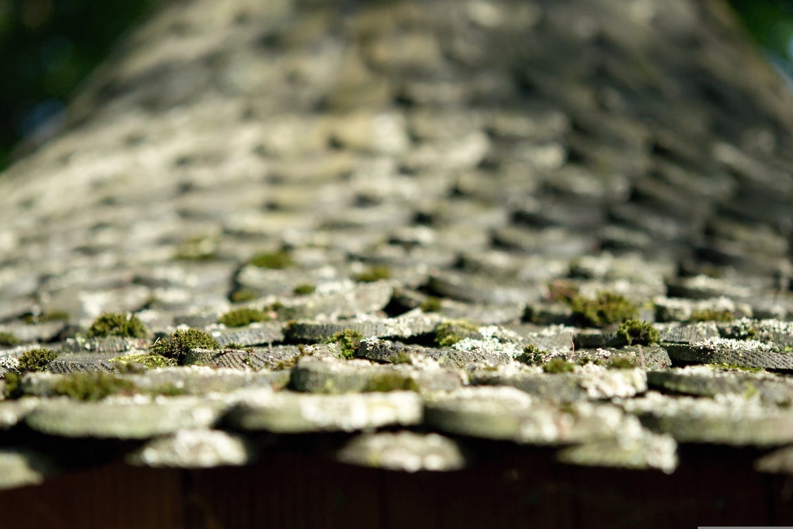 shingle roof repair