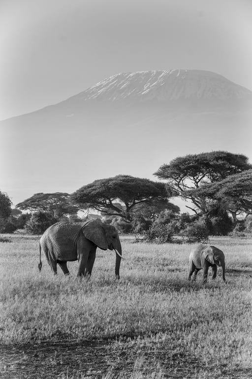 Mount Kilimanjaro hiking
