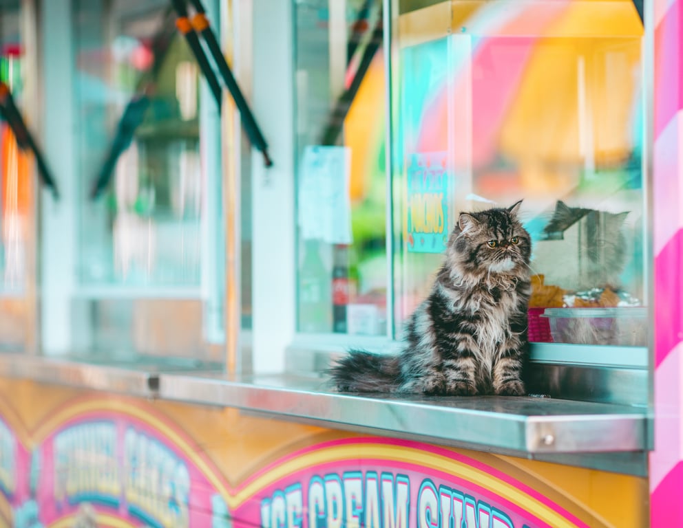food trailer festival