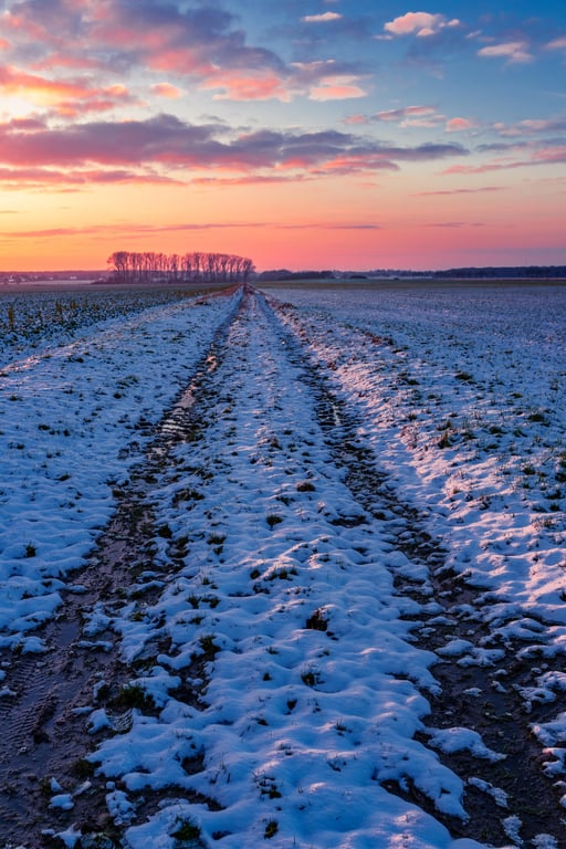 snowy road winter tires