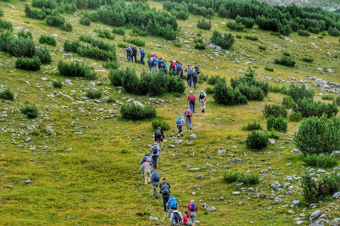 Hiking Clubs Near Me: How to Find the Right Group for Every Trail Level