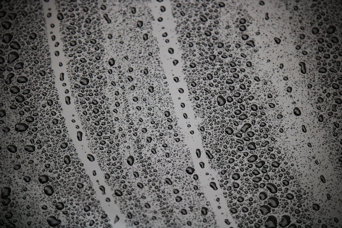 wet carpet water damage