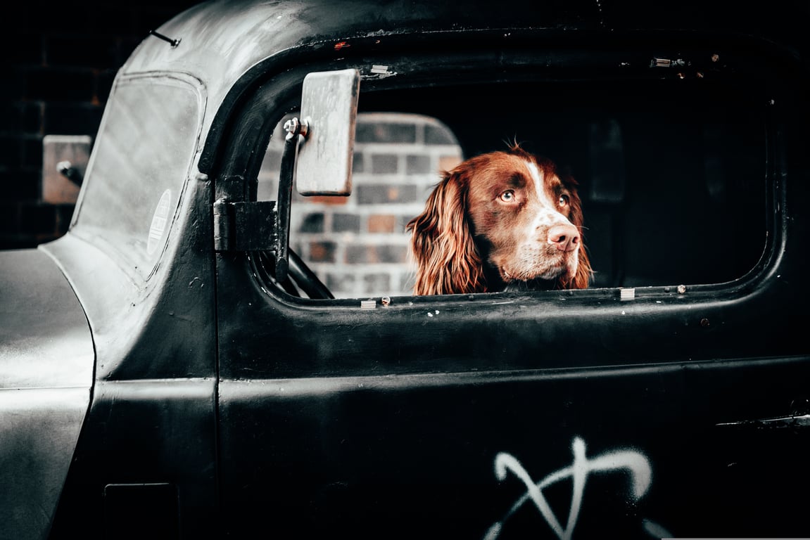 food truck service window