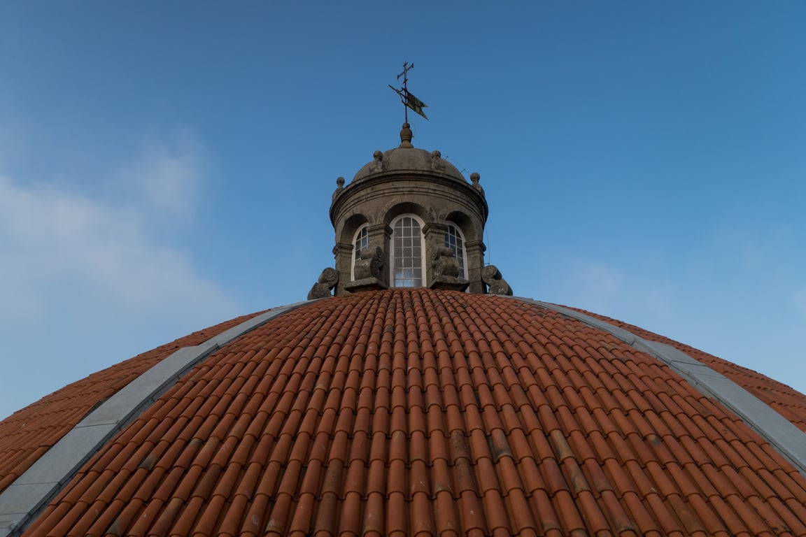 damaged roof shingles