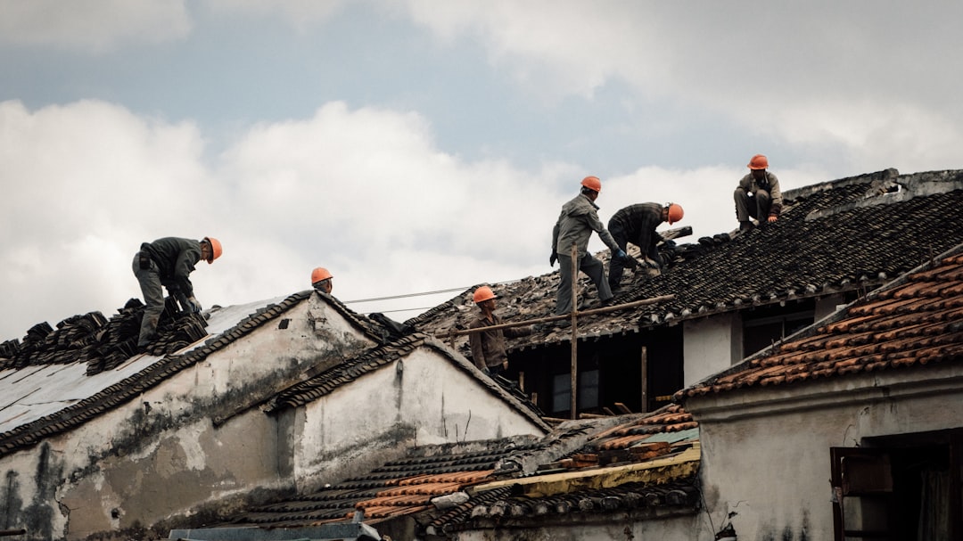 Roof Restoration Near Me: How to Compare Local Contractors and Repair Options