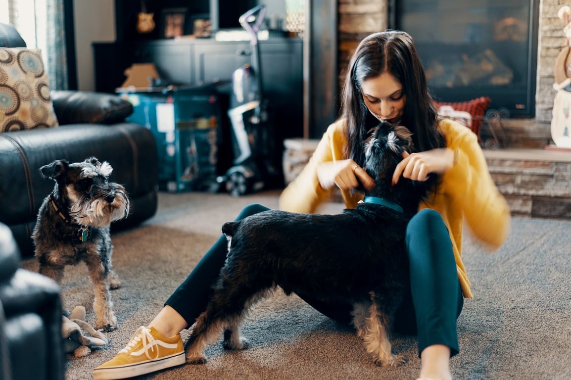 Banfield Pet Insurance: What Pet Owners Should Compare Before Choosing a Plan