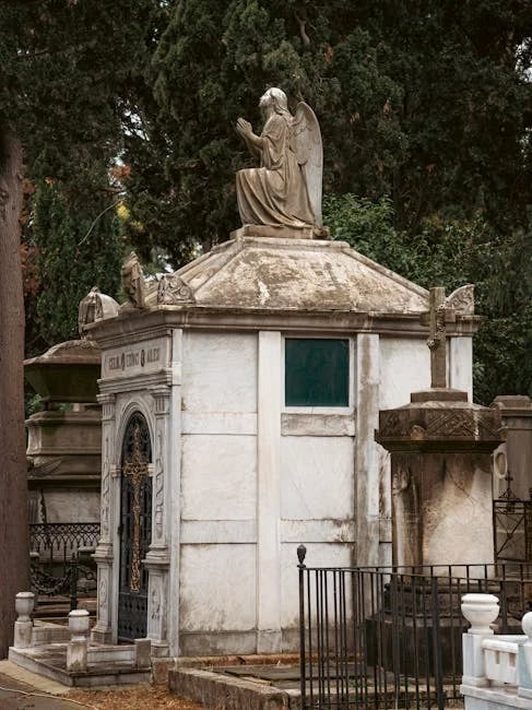 Image describing 2025s Best Burial Policies How to Choose Smart Now