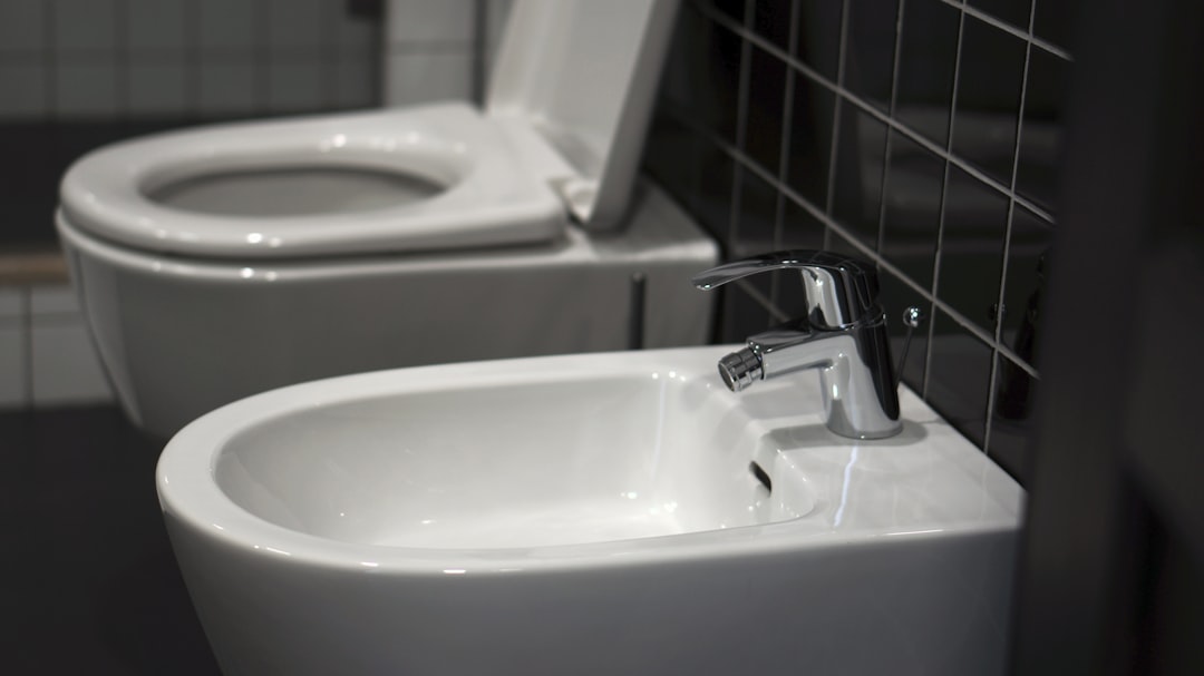 Blocked Toilet Drain: Diagnose the Cause Before You Reach for a Plunger