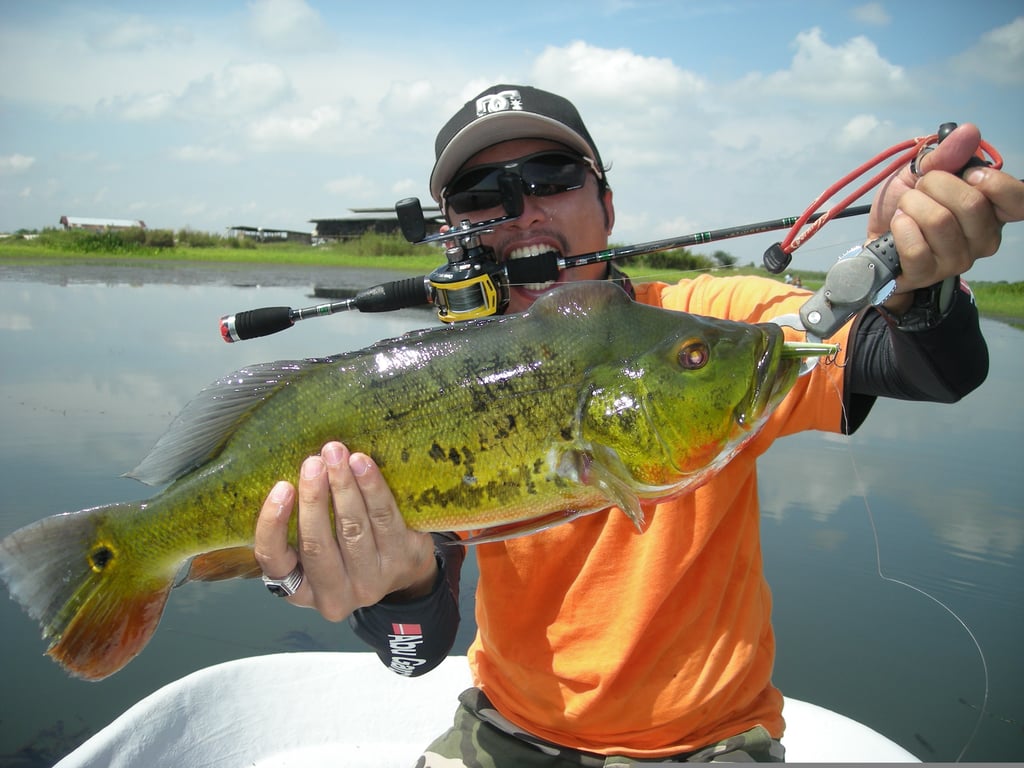 freshwater spinning rod and reel