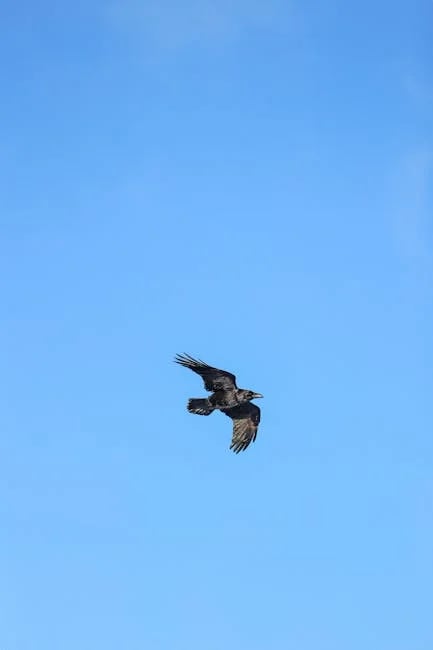 Image describing Best 2026 Ravens vs Jets 7 Proven Picks Now?