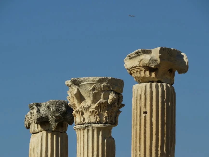 Image describing Discover the Best of Nitya Capital Top Secrets Revealed!