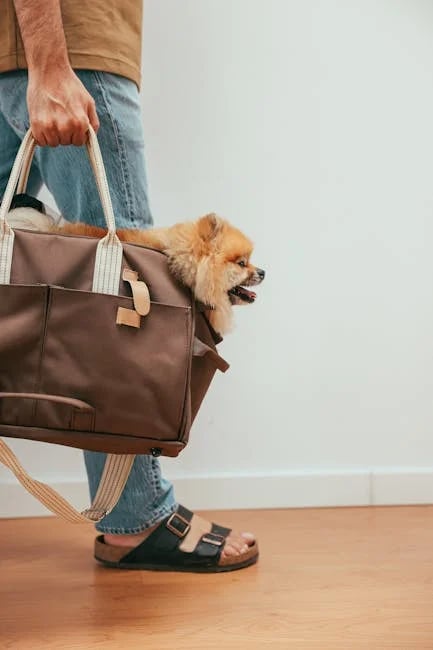 Image describing Top 7 Best Carryon Bags 2026 Which Wins Now?