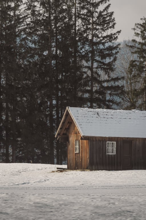 snowy cabin driveway