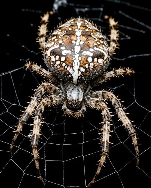 Image describing How to Win MobilityWare Spider Solitaire Fast in 2026?