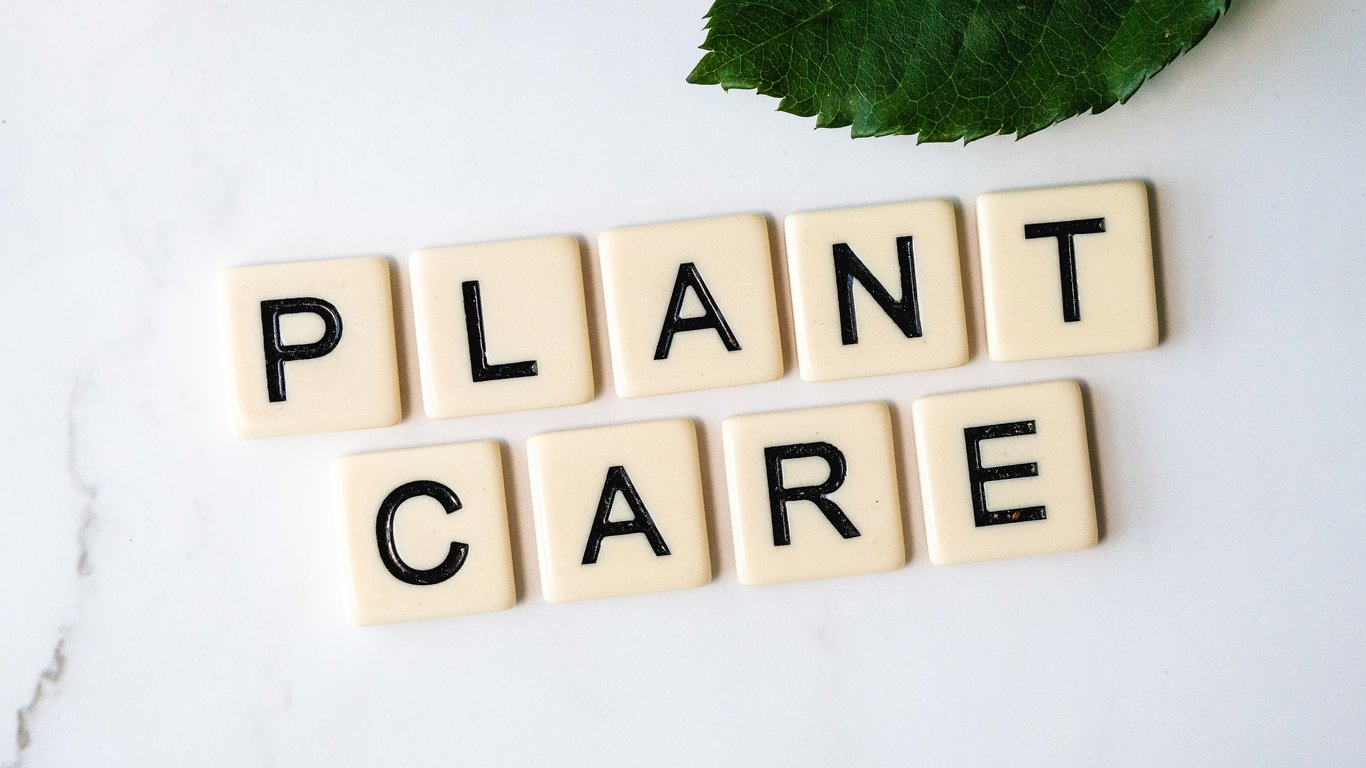 Healthy Pet Care Starts With Everyday Prevention