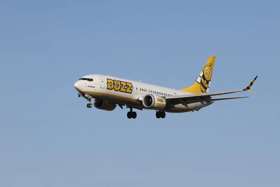 Image describing French Bee Reviews 2026 Best Choice Now or Big Mistake?