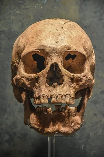 Image describing Best Online Forensic Science Degree 2026? Top 7 Picks Now