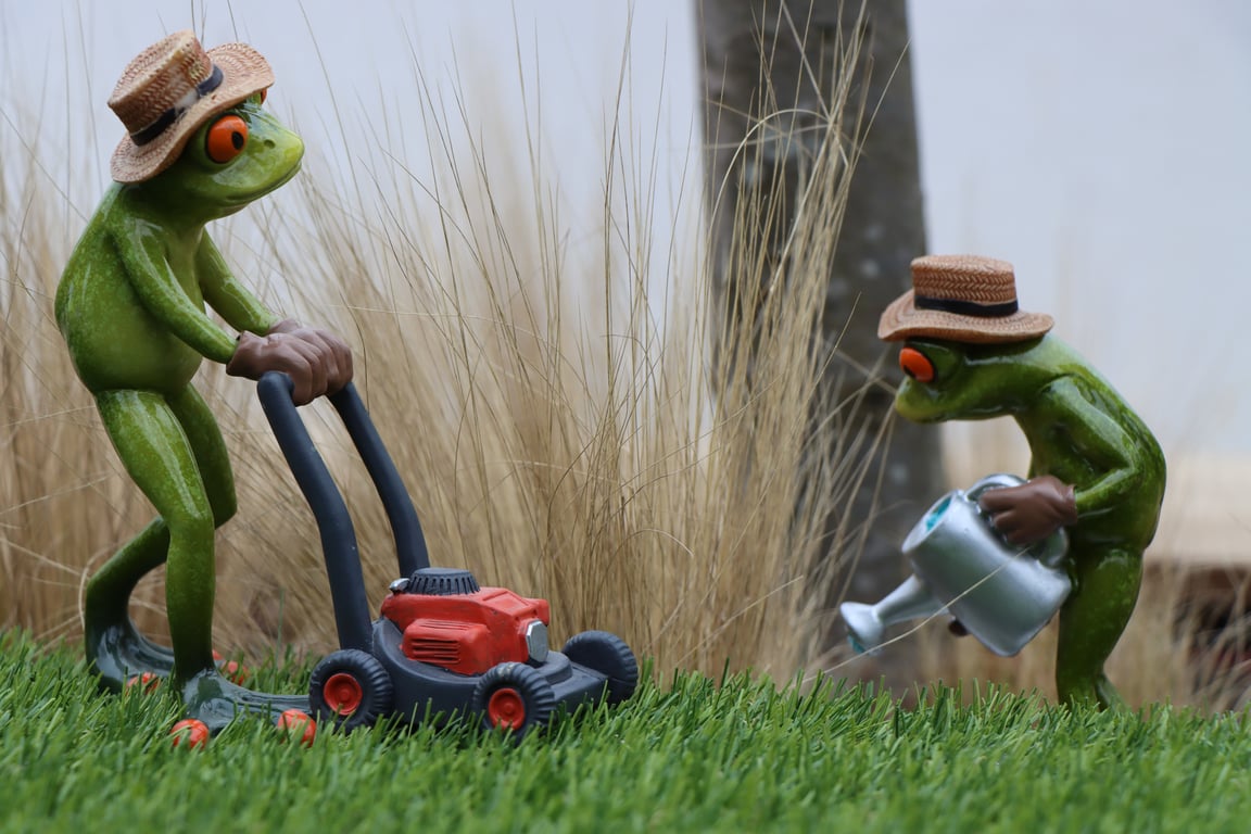 garden maintenance service