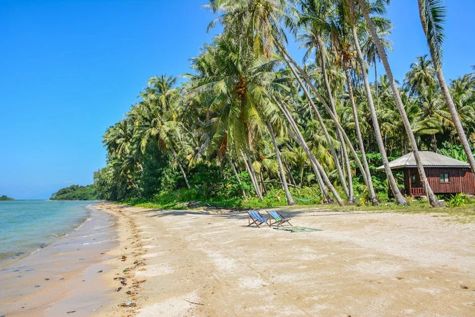 Image describing How to Get the Best Beachfront Bungalow in 2026 Fast?