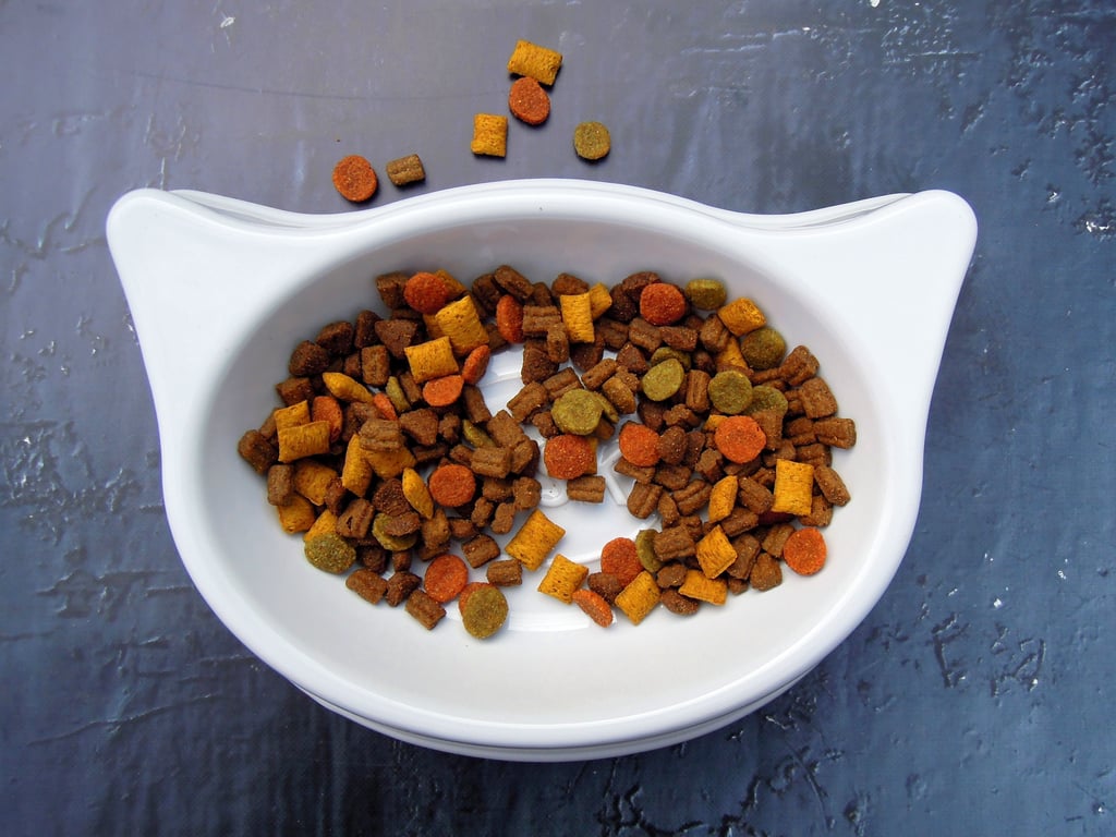 wet and dry cat food bowls