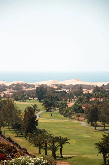 Image describing Top 7 Proven Reasons to Visit Kiva Dunes in 2026?