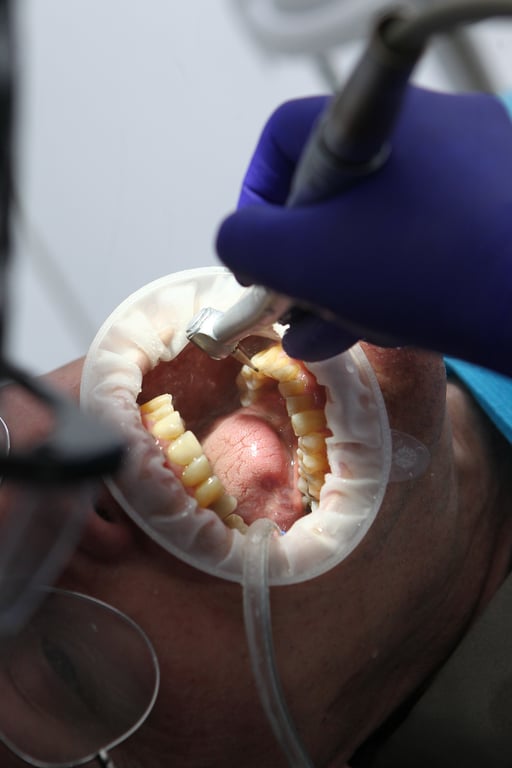 dog dental cleaning veterinary clinic
