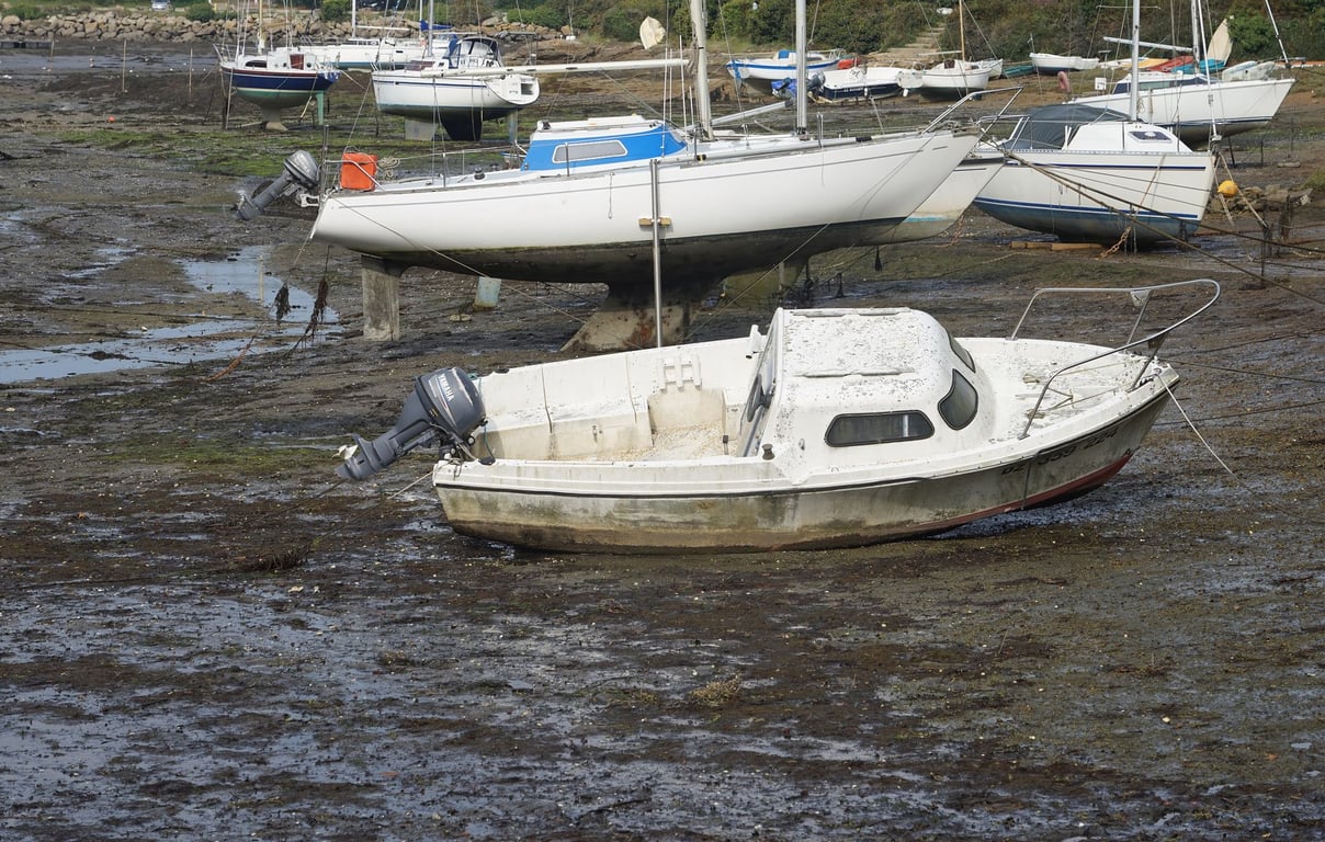 Used Boat Motors: How to Inspect Value, Reliability, and Repair Risk