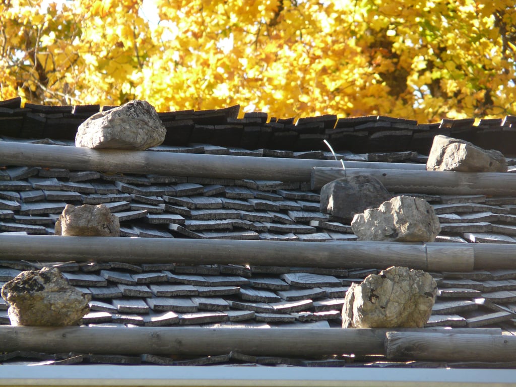 damaged roof shingles