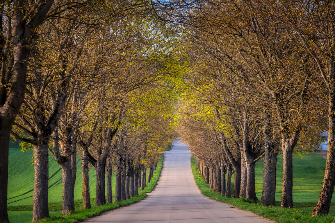 covered travel trailer driveway