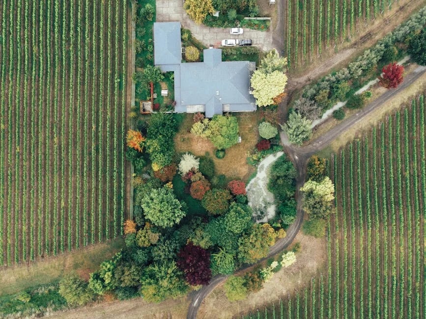 Image describing Top 10 Orchard Estates You Must See in 2025