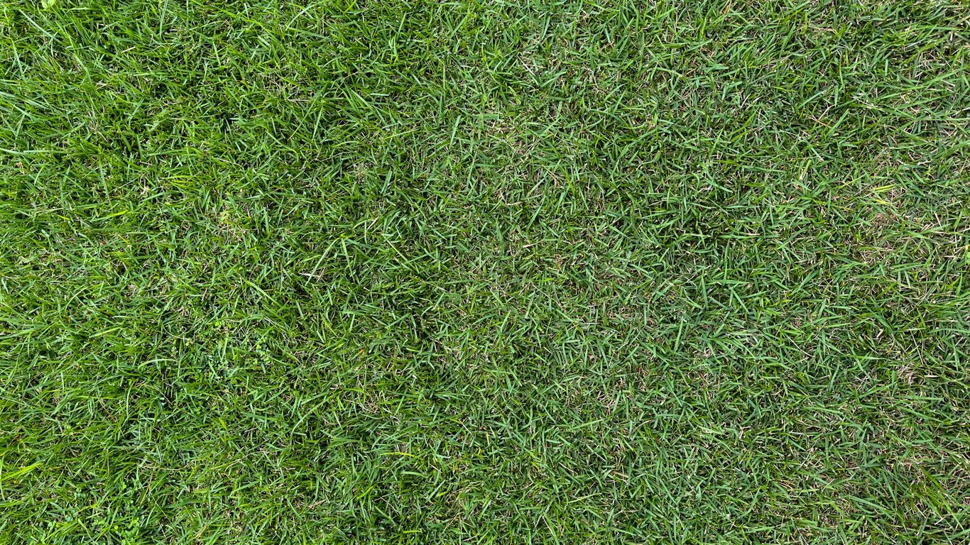 TruGreen Lawn Care Cost: What You Pay and What Drives the Price