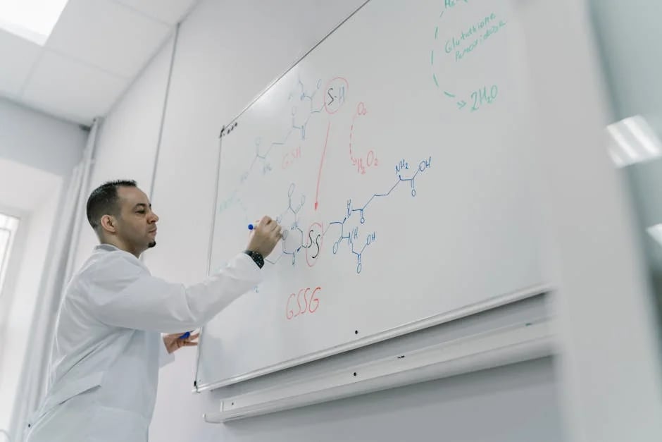Image describing Top 5 Guaranteed Ways to Secure a 2025 PhD in Education
