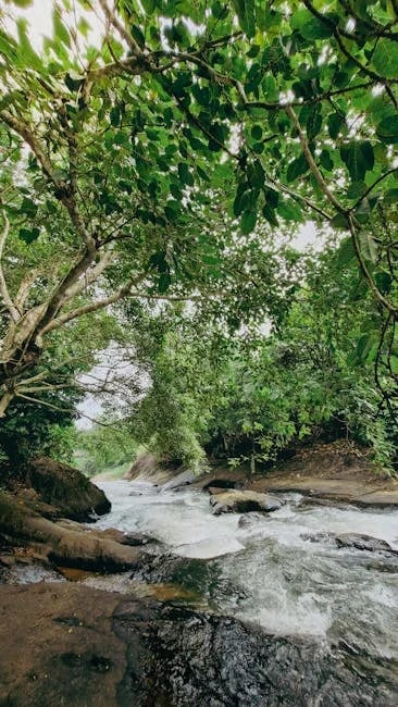 Image describing Top 7 Best Streaming Cameras 2026 Which Wins Now?