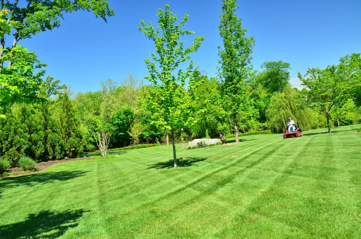 lawn care service mowing