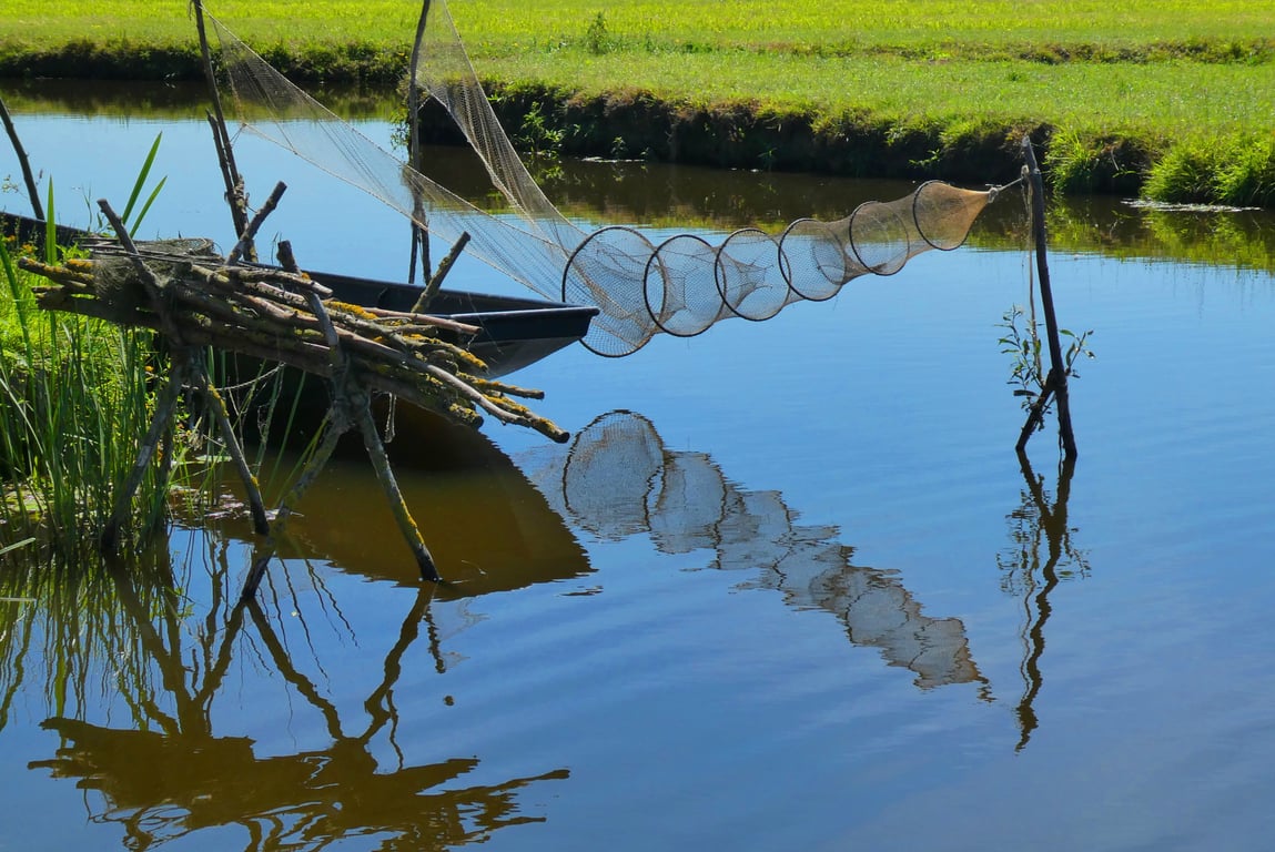 fish trap in lake