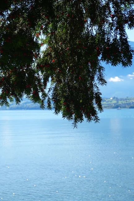 Image describing Unlock 2025 Best Sapphire Preferred Tips Now!