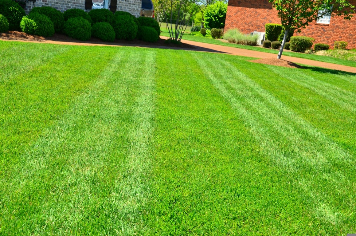 lawn mowing service