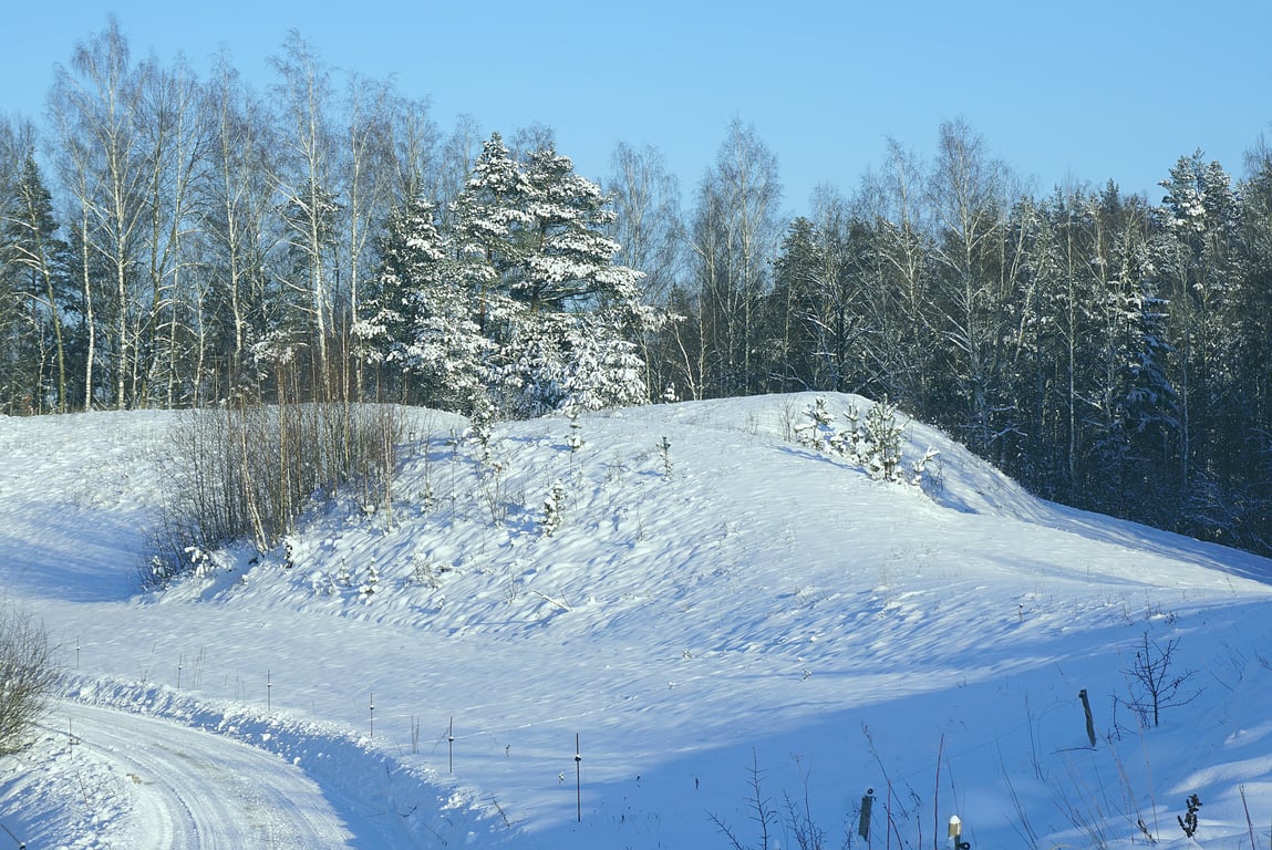 winter tires on snowy road