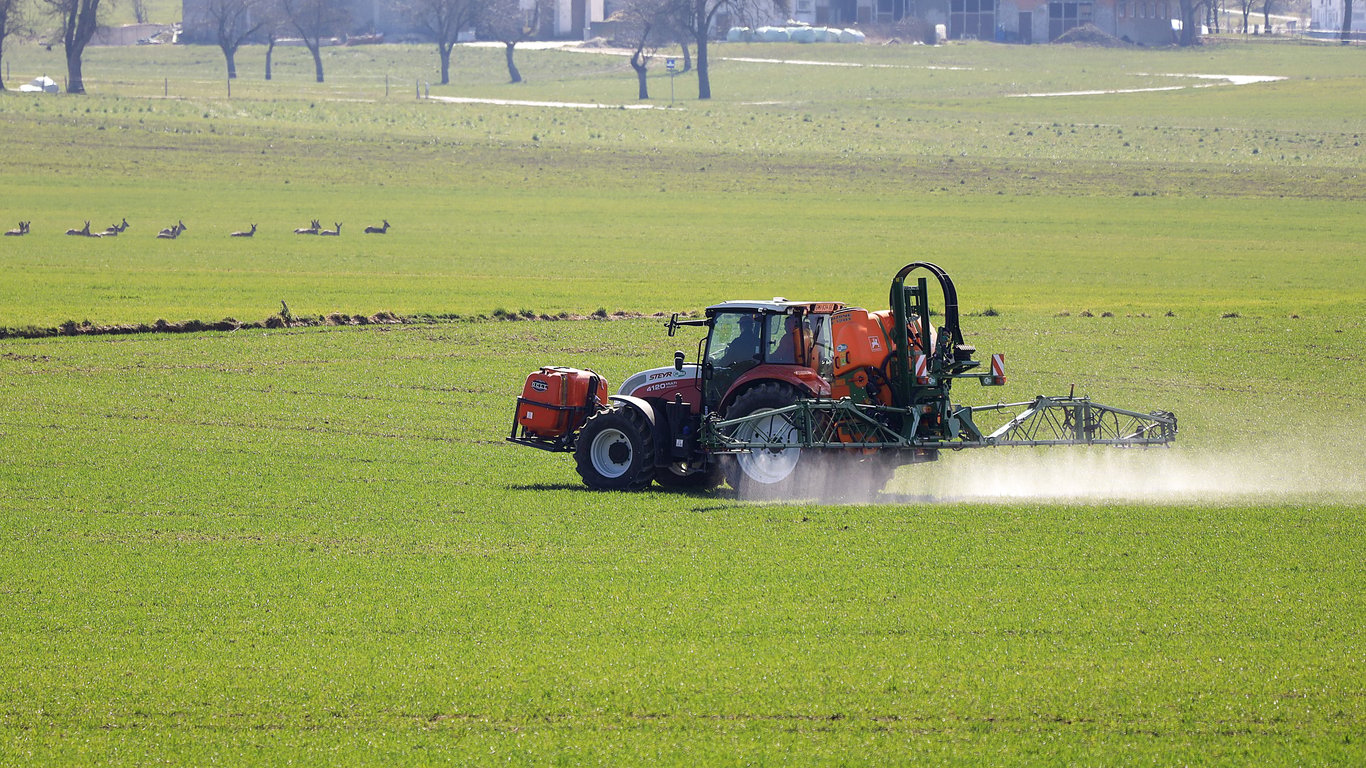 lawn weed control