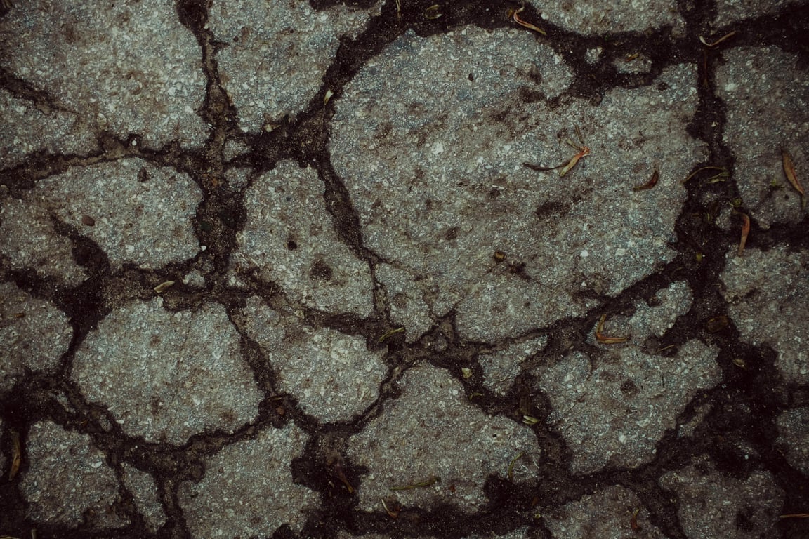 hail damaged asphalt shingles