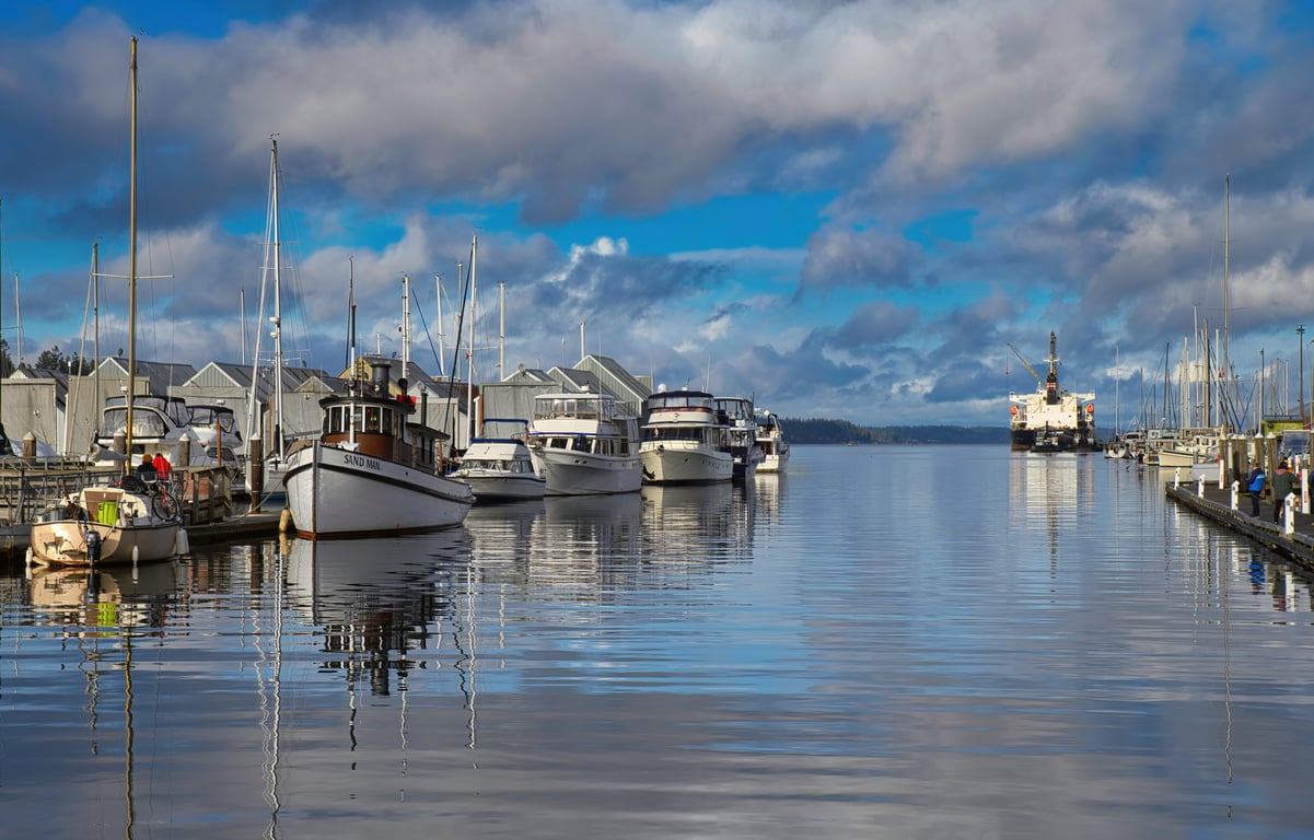 Carefree Boat Club marina