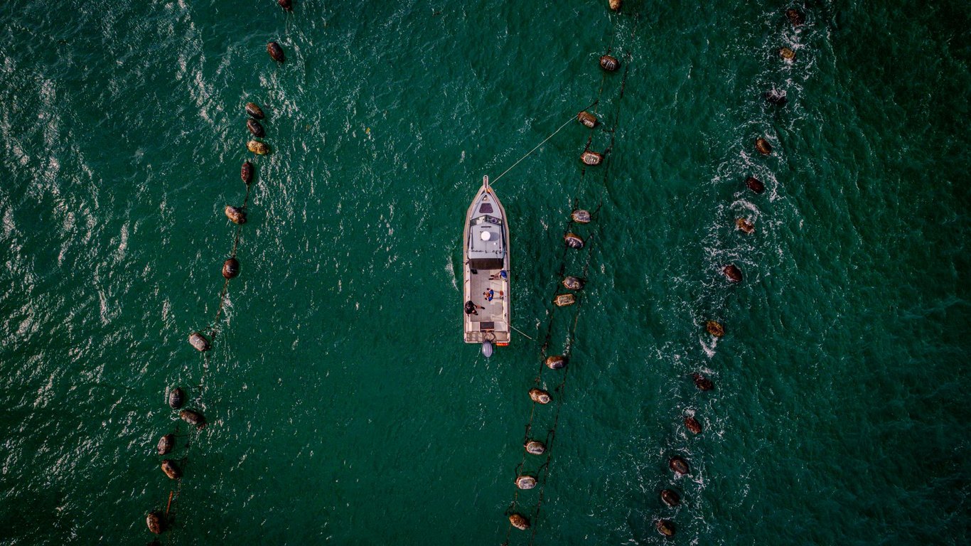 Freedom Boat Club Cost: What Membership Really Replaces—and What It Doesn’t