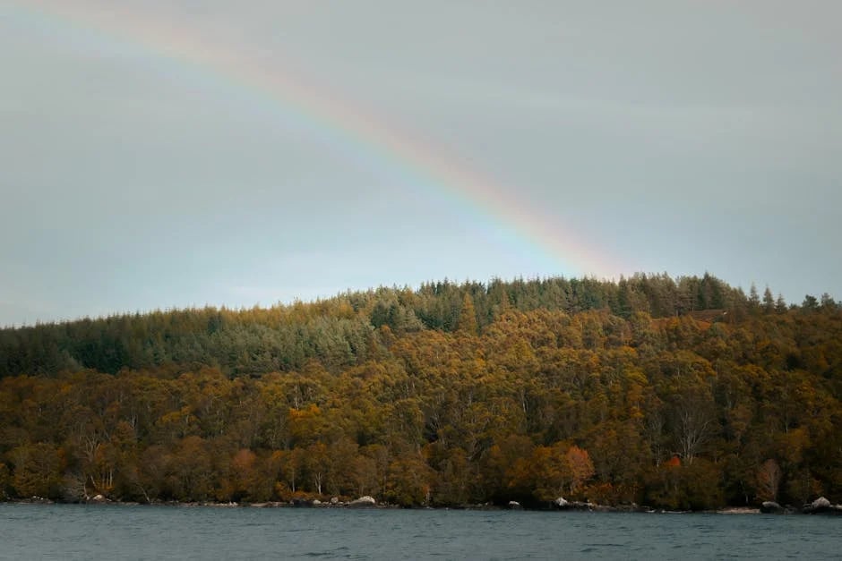 Image describing 2025s Top 7 Best 4K Webcams You Need Now!