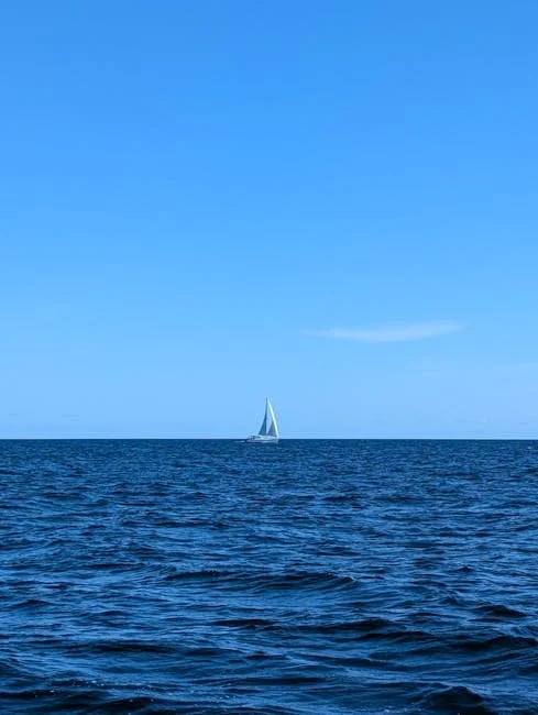 Image describing How to Get Fashion Nova Free Shipping Now 7 Fast Tips (2026)